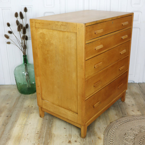 vintage_esavian_school_drawers_plan_chest_beech