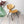 vintage_ikea_RÄÄ_chair_nicholai_wiig_hansen