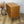 vintage_meredew_chest_of_drawers_oak_walnut
