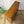 vintage_oak_heals_glazed_bookcase_display_cabinet