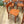 Set of Ten Vintage Rustic Orange Painted Chairs 0103c