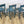 vintage_painted_blue_rustic_cafe_restaurant_chairs