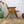vintage_rex_120_lounge_chair_niko_kralj_mid_century
