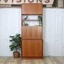 vintage_teak_g_plan_form-5_media_unit_shelves_display