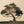 Vintage Macrame 'Tree' Wall Hanging *LARGE*
