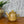 Mid Century Ceramic Teapot