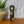 Japanese Kokeshi Doll - D1a
