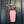 Pastel Pink Art Deco Ceramic Wall Vase