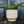 Large Vintage Textured Plant Pot