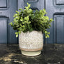 Small Vintage Textured Plant Pot