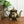 Vintage Brass Teapot #A1
