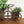 Vintage Boho Rattan Bicycle Planter #A1
