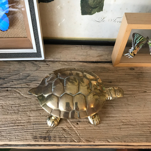 Vintage Brass Tortoise Trinket Box