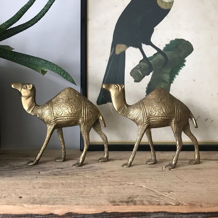 Pair of Mid Century Brass Camels