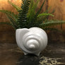 Mid Century Ceramic Shell Ornament/Planter