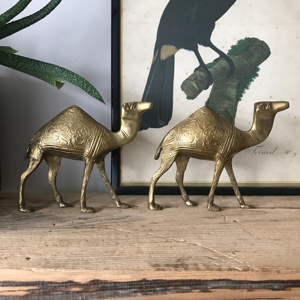 Pair of Mid Century Brass Camels
