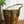 Vintage Brass Ice Bucket Set with Tongs #A2