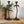Pair of Mid Century Palm Tree Candlesticks