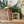 mid_century_brass_crane