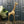 HUGE Vintage Mid Century Brass Giraffe