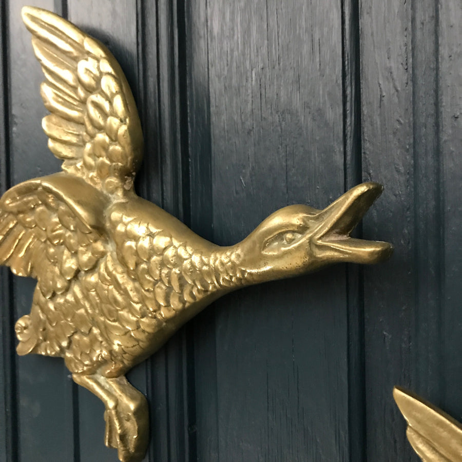 *EXTRA LARGE* Trio of Mid Century Brass Flying Ducks #A1