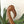Mid Century Wooden Carved Flamingo