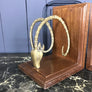 Mid Century Brass Antelope Bookends
