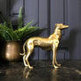 Mid Century Brass Greyhound #A1