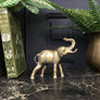 Mid Century Brass Elephant
