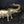 Mid Century Brass Elephant