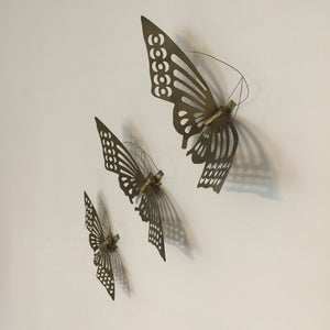 Butterflies Wall Art