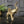 Mid Century Brass Elephant #A1