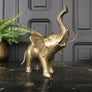 Mid Century Brass Elephant #A1