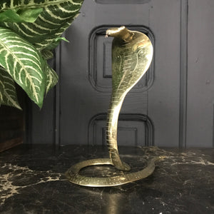 Mid Century Brass Cobra #1