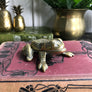 Vintage Brass Frog Trinket Box / Ornament