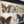 Medium Vintage Butterfly Taxidermy Collection