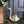 Mid Century Brass Swan Planter #A1