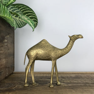 Vintage Brass Camel #A11 MEDIUM