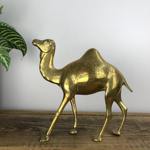 Vintage Brass Camel #A11 LARGE