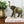 Mid Century Brass Elephant #A11
