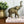 Mid Century Brass Elephant #A11