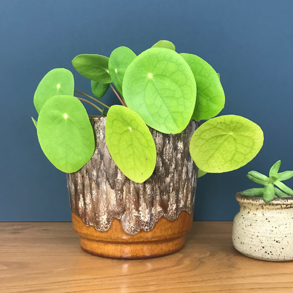 LARGE West Germany stamped Ceramic Planter