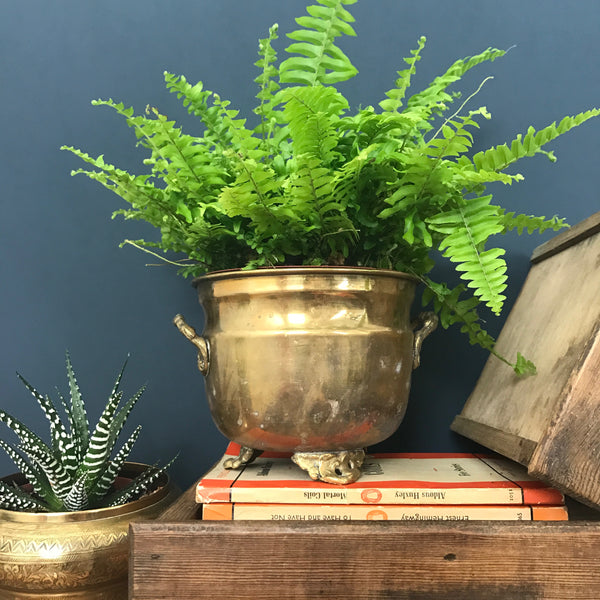 Vintage Brass Ornate Feet Planter