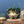 Vintage Brass & Enamel Planter