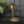 Mid Century Brass Cobra #A1