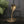 Mid Century Brass Cobra #A1