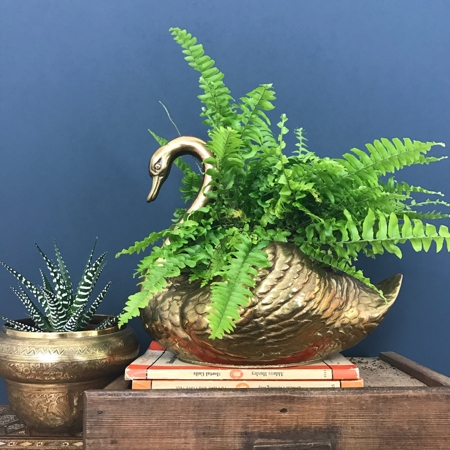 LARGE Vintage Brass Swan Planter