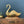 LARGE Vintage Brass Swan Planter