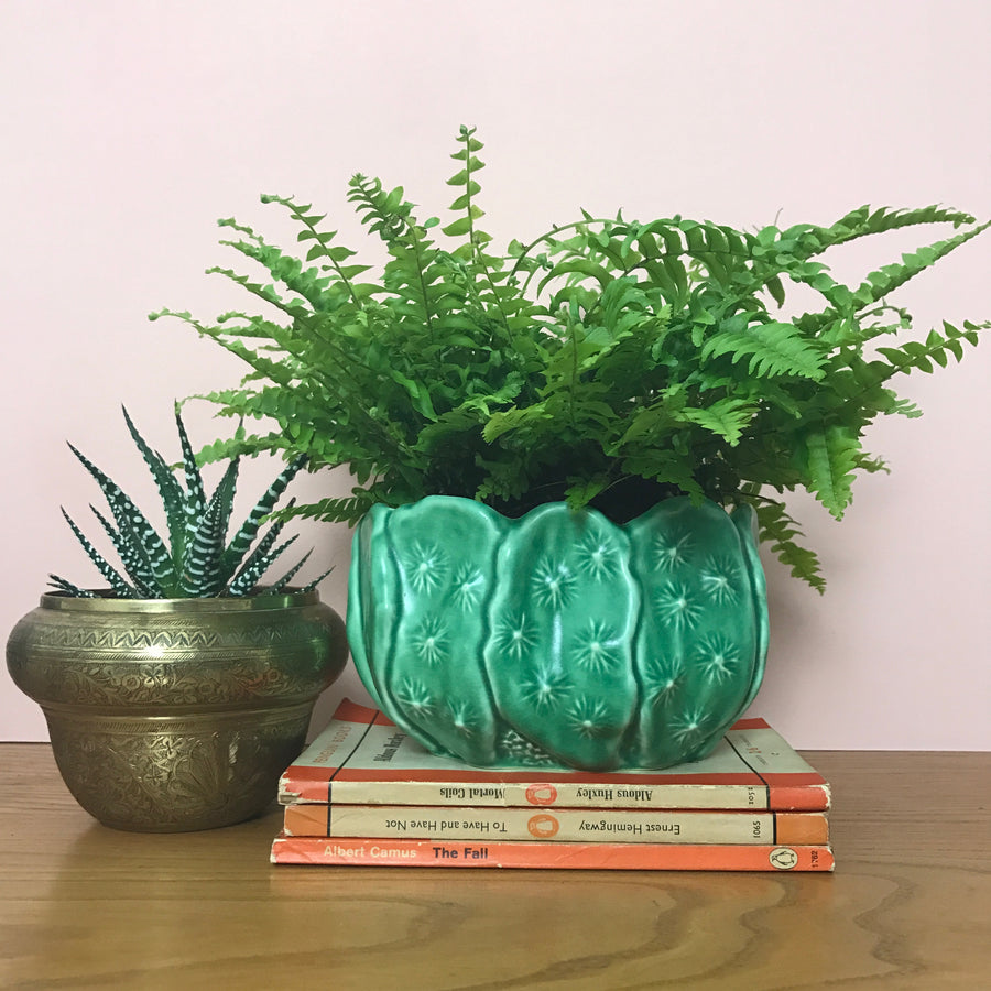 Green 'Cacti' SylvaC Ceramic Planter