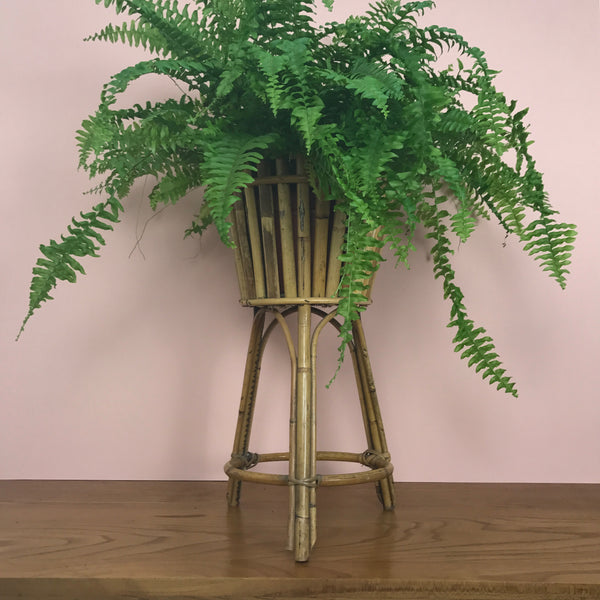 Vintage Boho Rattan Planter on Legs